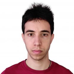 Bernardo Menicagli