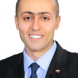 Waleed Ahmed Mohamed Ali Elshatlawy